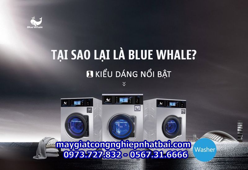 Thiết kế máy giặt công nghiệp Blue Whale